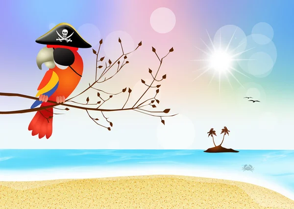 Papagaio pirata na ilha — Fotografia de Stock
