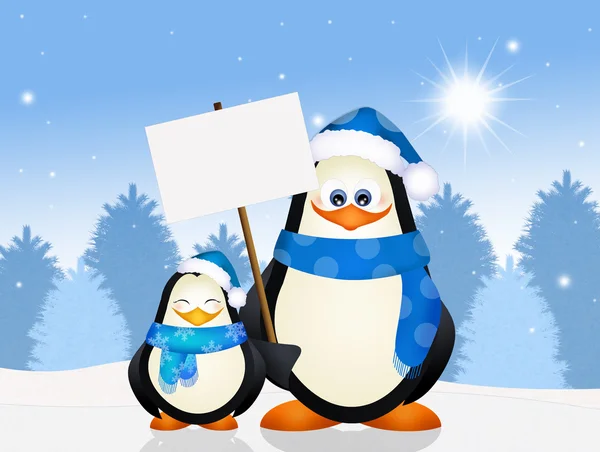 Pinguim bebê com seu pai — Fotografia de Stock