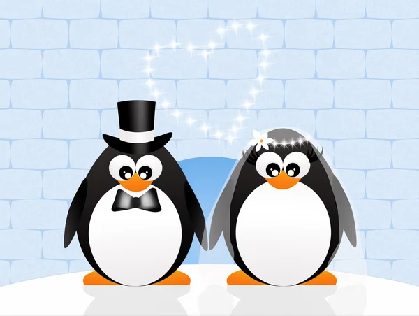 Penguins couple in love — Stock Photo, Image