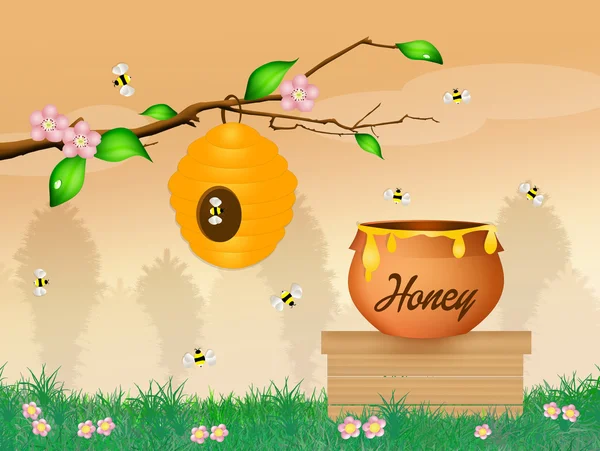 Med a včely — Stock fotografie