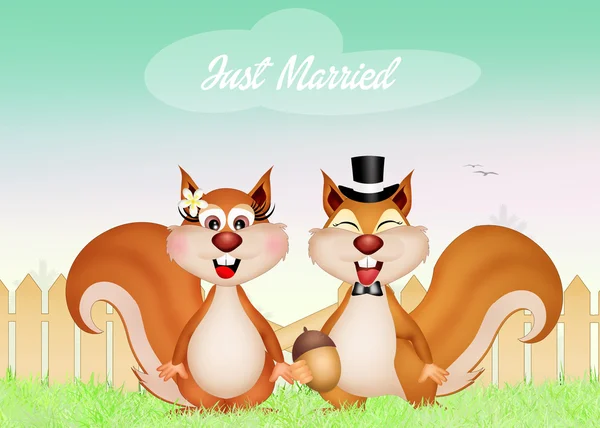 Illustrazione di coppia scoiattoli — Foto Stock