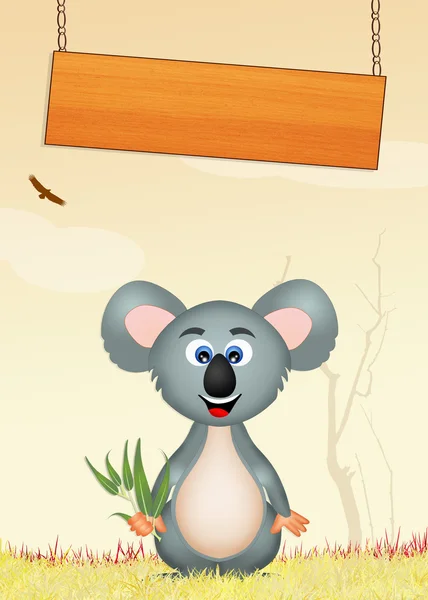 Koala in the forest — Stock Photo, Image