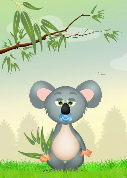 Koala med eucalipto — Stockfoto