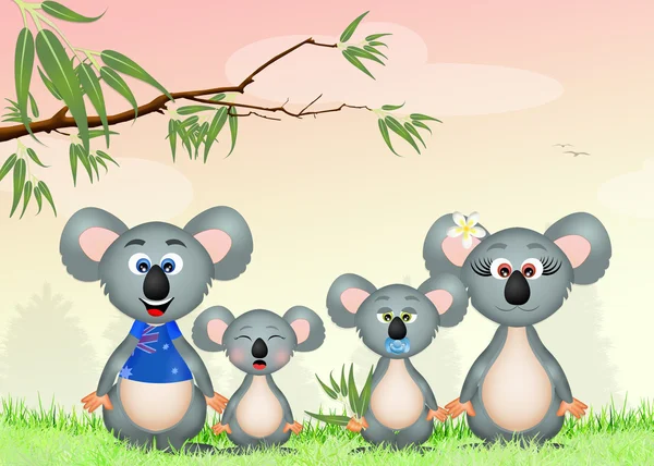 Famille de koalas — Photo