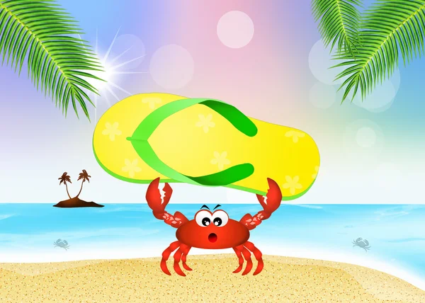 Crab with flip flop — Stock Photo, Image