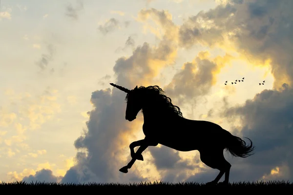 Unicorn silhouette at sunset — Stock Photo, Image