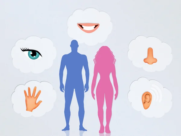 The five senses in the human body — Stock Photo, Image