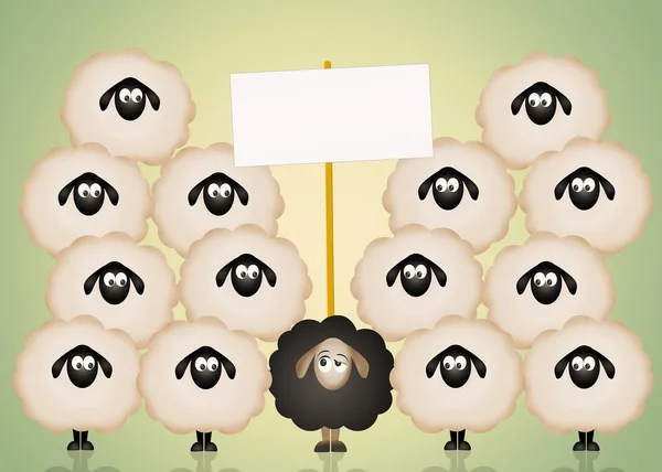 Funny black sheep — Stock Photo, Image