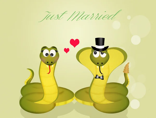 Svatba hadů — Stock fotografie