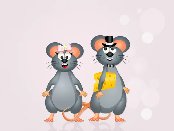 Coppia di topi innamorati — Foto Stock