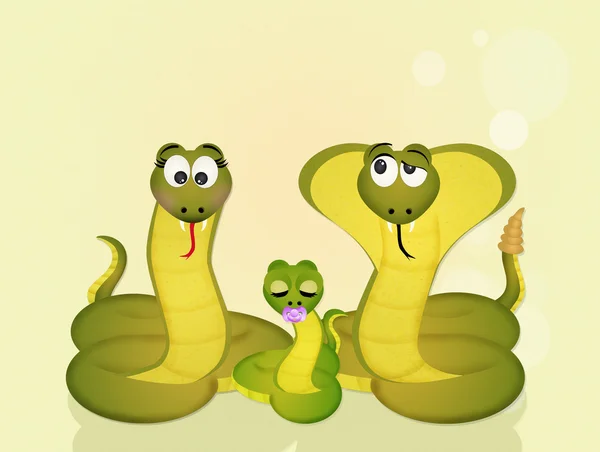 Family of snakes — Stock Photo, Image