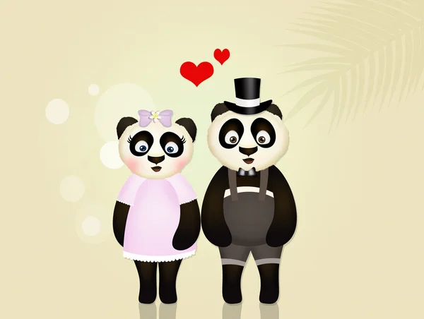 Pandas in love — Stock Photo, Image