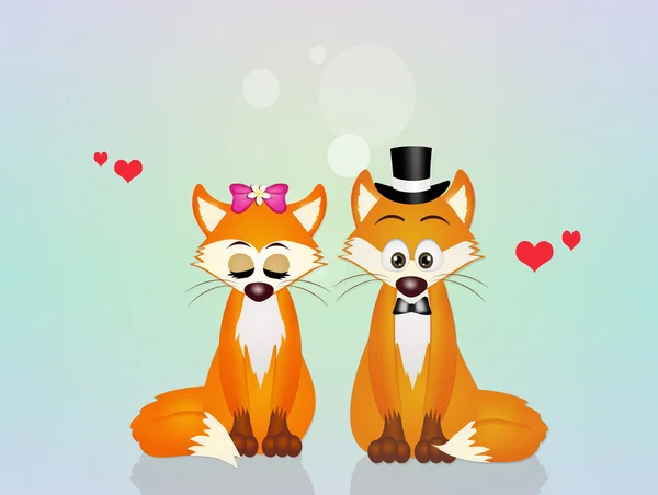 Foxes in love — Stock Photo, Image