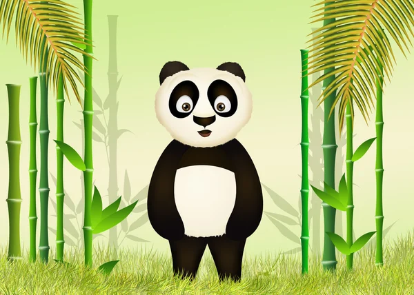 Panda in the jungle