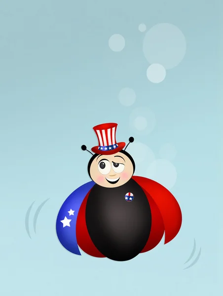 美国帽子的瓢虫 — 图库照片