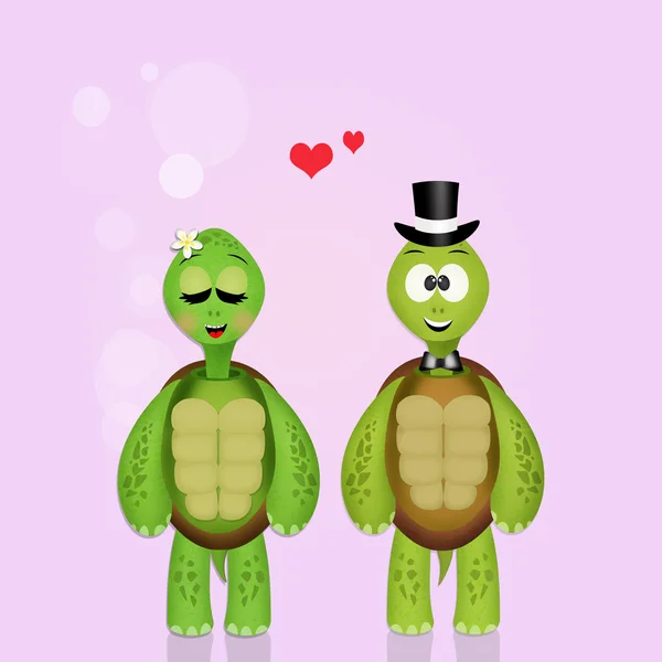 Tortugas pareja en amor —  Fotos de Stock