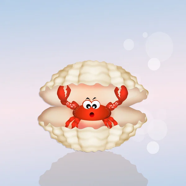 Crabe dans la coquille — Photo
