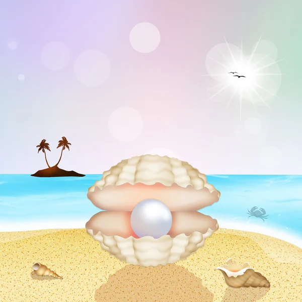 Perła w powłoce na plaży — Zdjęcie stockowe