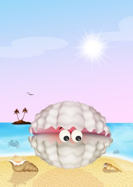 istiridye kabuğu sahilde