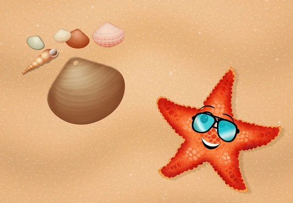 Stelle marine sulla spiaggia — Foto Stock