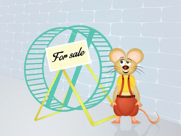 Il vend la roue de hamster — Photo