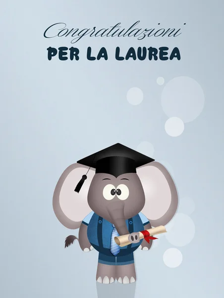 Congratulazioni per la laurea — Foto Stock