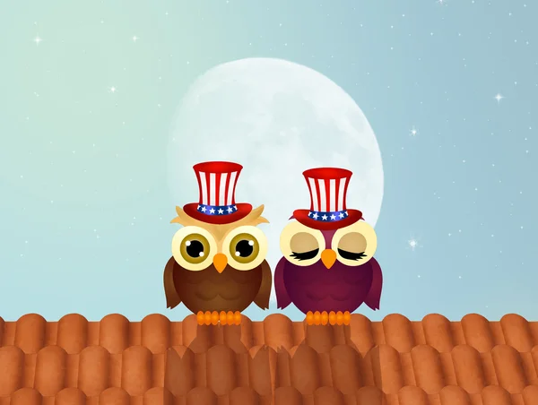 Owls celebrate Independence day — Stock Photo, Image