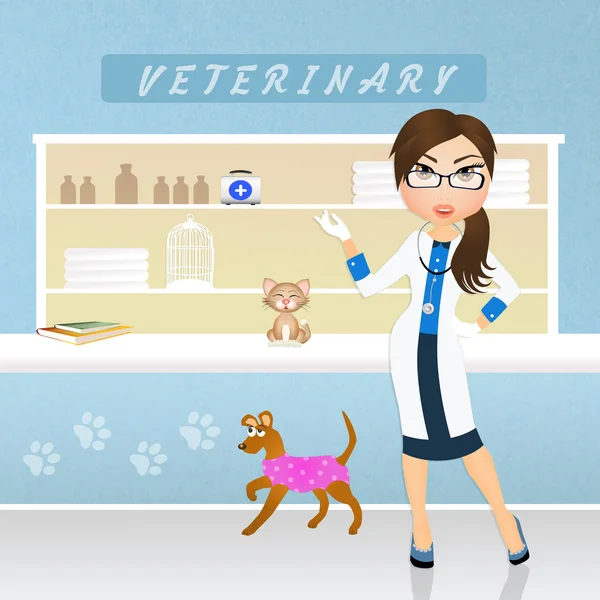Animais de cuidados veterinários — Fotografia de Stock