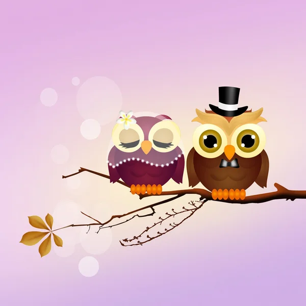 Owls in love — Stock Photo, Image