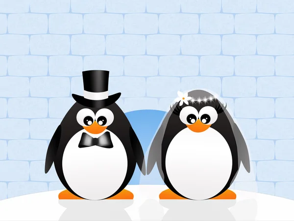 Pinguins casal apaixonado — Fotografia de Stock