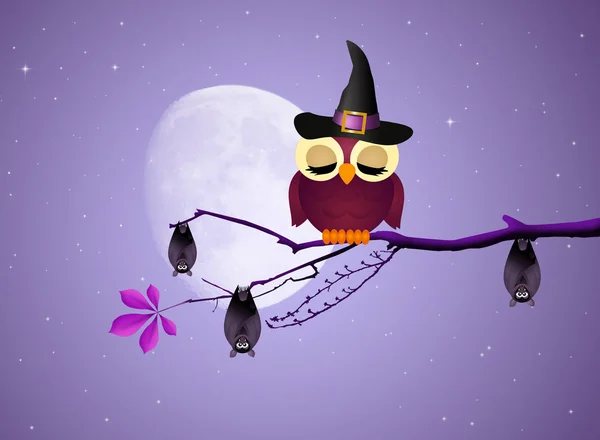 Gufo e pipistrello di Halloween — Foto Stock