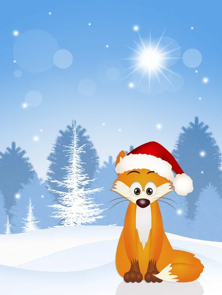 在圣诞红狐狸 — 图库照片