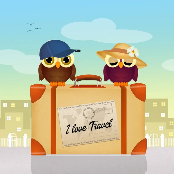 Yolcuları baykuşlar bavul üzerinde — Stok fotoğraf