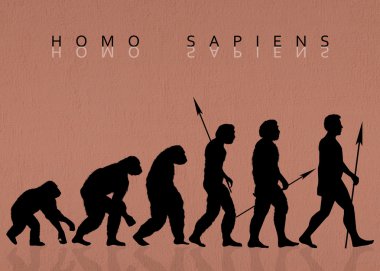 Homo sapiens çizimi