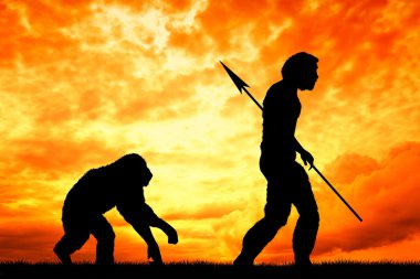 Homo sapiens çizimi