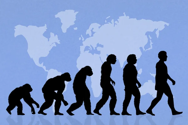 illustration of Human evolution