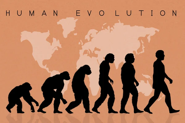 Ilustração da evolução humana — Fotografia de Stock