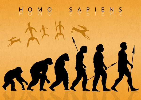 Illustration de Homo sapiens — Photo