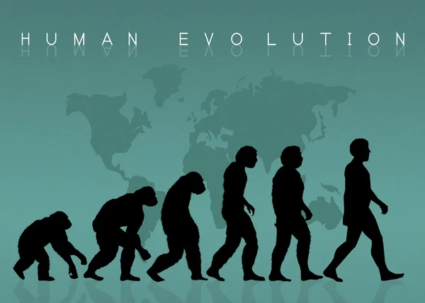 Illustration der menschlichen Evolution — Stockfoto