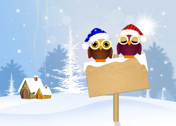 Cute owls with Christmas hat — Stock Photo, Image