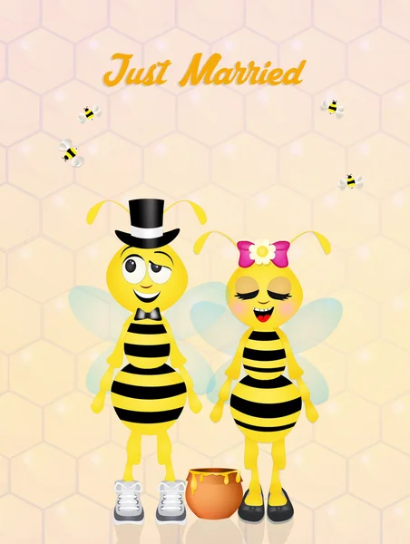 蜜蜂的婚礼 — 图库照片