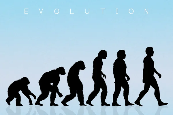 Evoluzione della specie — Foto Stock