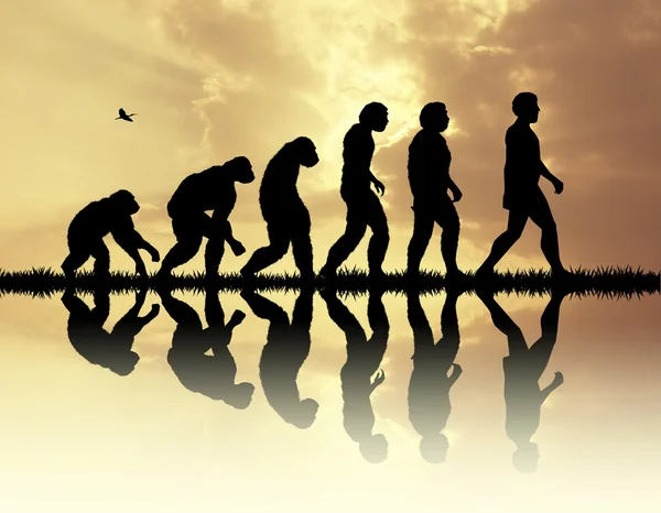 人类进化的插图 — 图库照片
