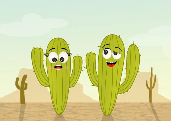 Pareja de cactus en el desierto —  Fotos de Stock