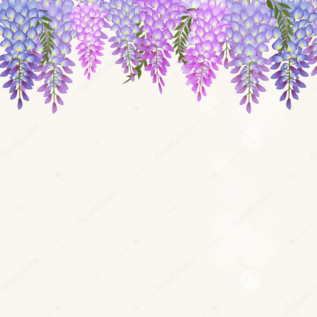 ここからダウンロード 藤 イラスト 写真素材 フォトライブラリー ここからダウンロード 藤 イラスト 写真素材 フォトライブラリー