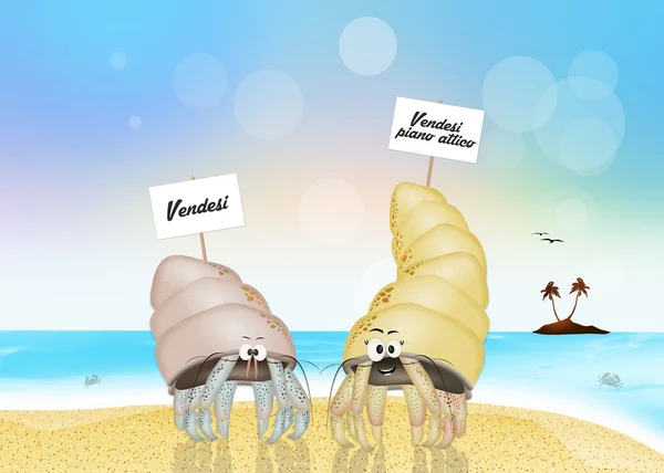 Funny illustration of hermit crabs — Stock Photo, Image