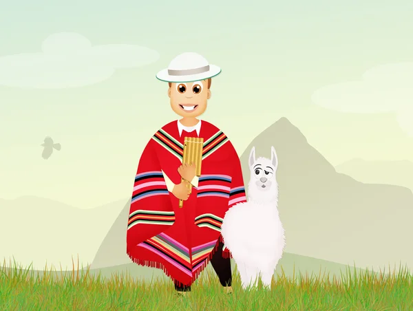 Homem peruano e alpaca — Fotografia de Stock