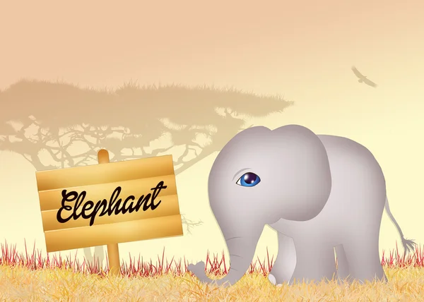 Elefant i junglee — Stockfoto