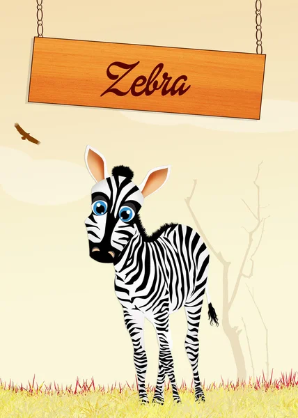 Zebra na selva — Fotografia de Stock
