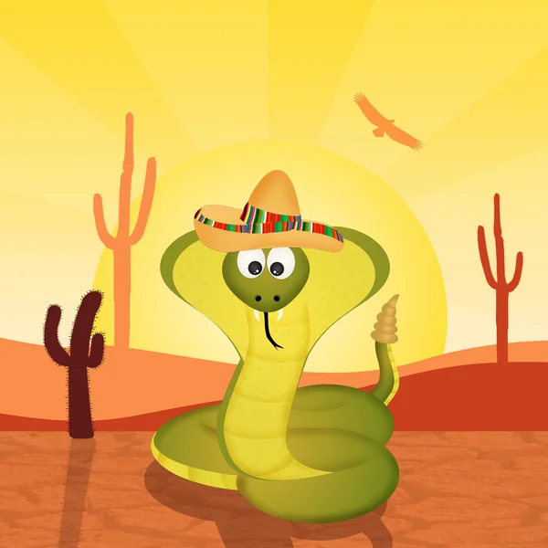 Cobra com sombrero no deserto — Fotografia de Stock